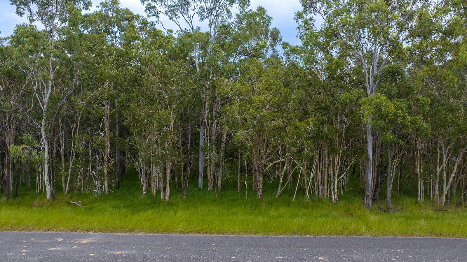Bootmaker Drive, Round Hill  QLD  4677