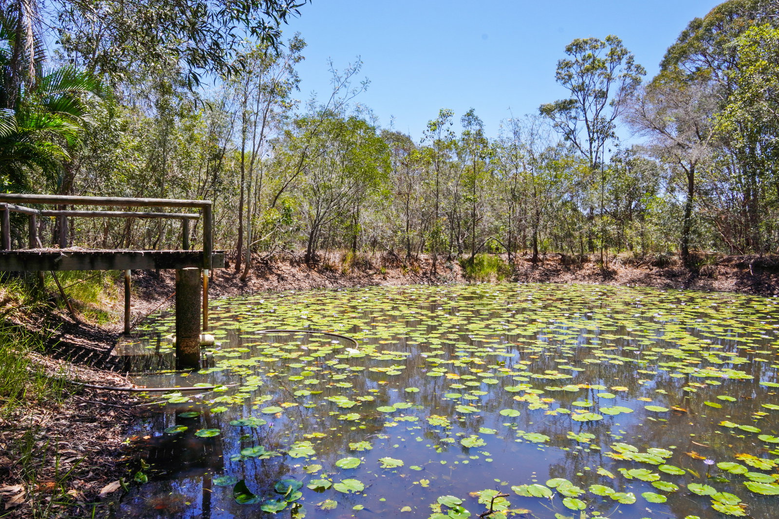 45 Bills Road, Agnes Water  QLD  4677