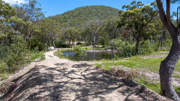 52 McGhee Crescent, Agnes Water  QLD  4677