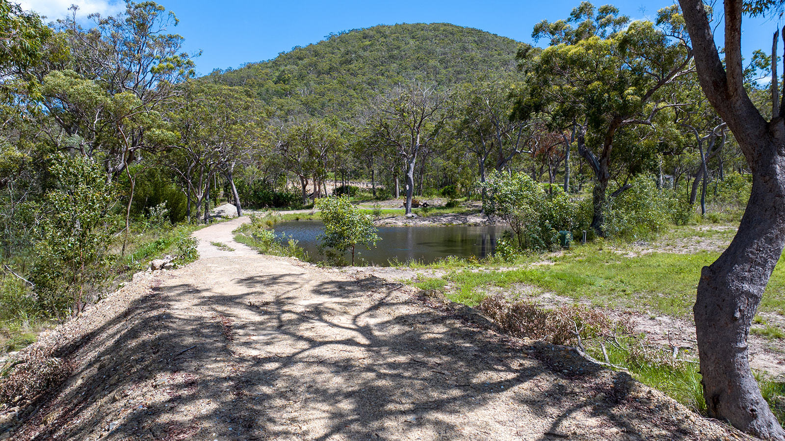 52 McGhee Crescent, Agnes Water  QLD  4677