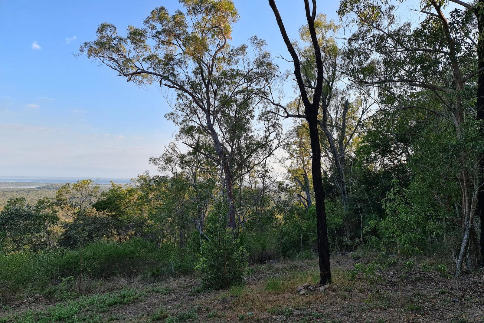 52 McGhee Crescent, Agnes Water  QLD  4677