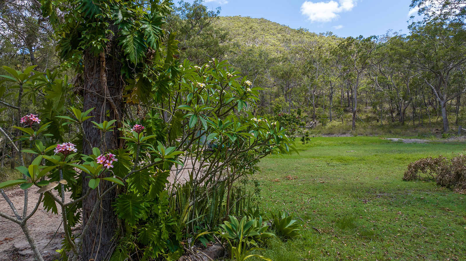 52 McGhee Crescent, Agnes Water  QLD  4677