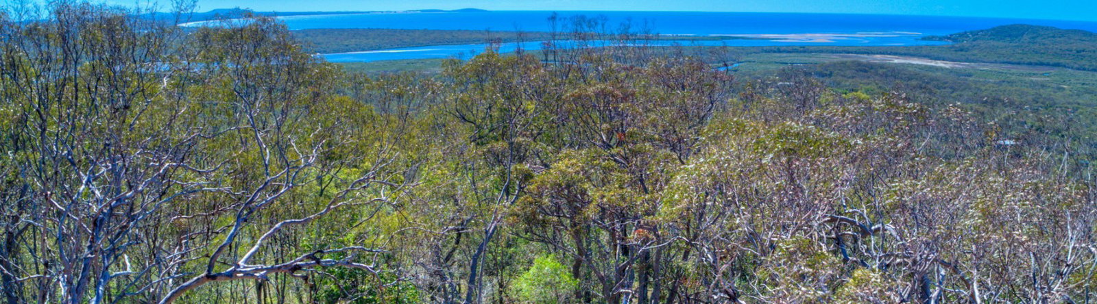 52 McGhee Crescent, Agnes Water  QLD  4677