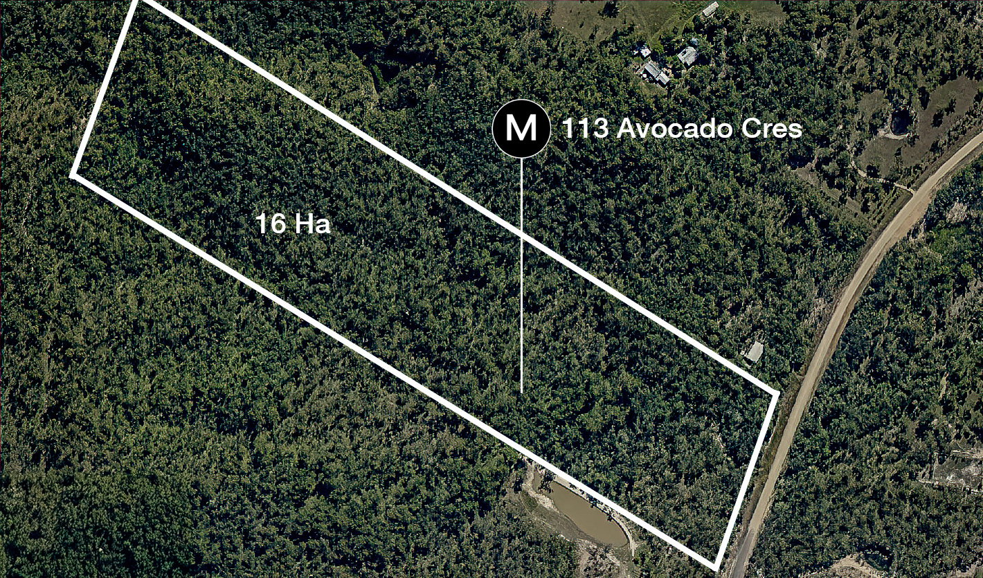 Avocado Crescent, Captain Creek  QLD  4677