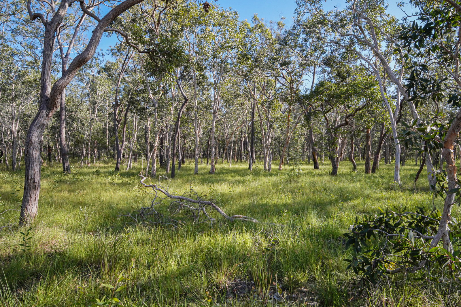 71 Range Road, Captain Creek  QLD  4677