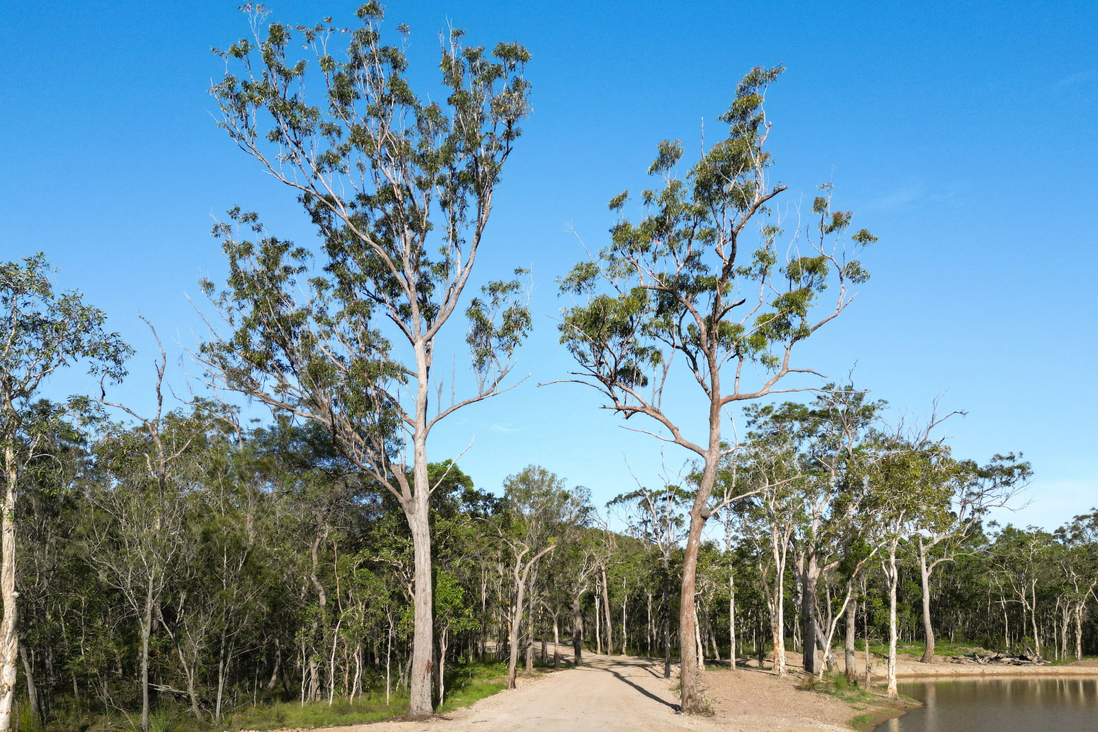 71 Range Road, Captain Creek  QLD  4677
