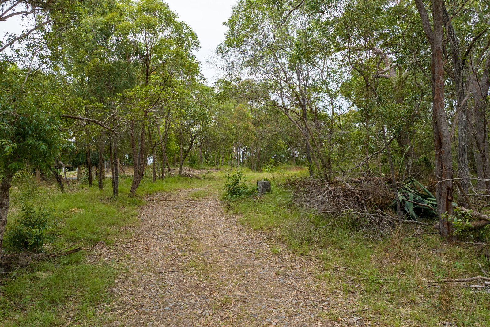 70 Josefski Road, Agnes Water  QLD  4677