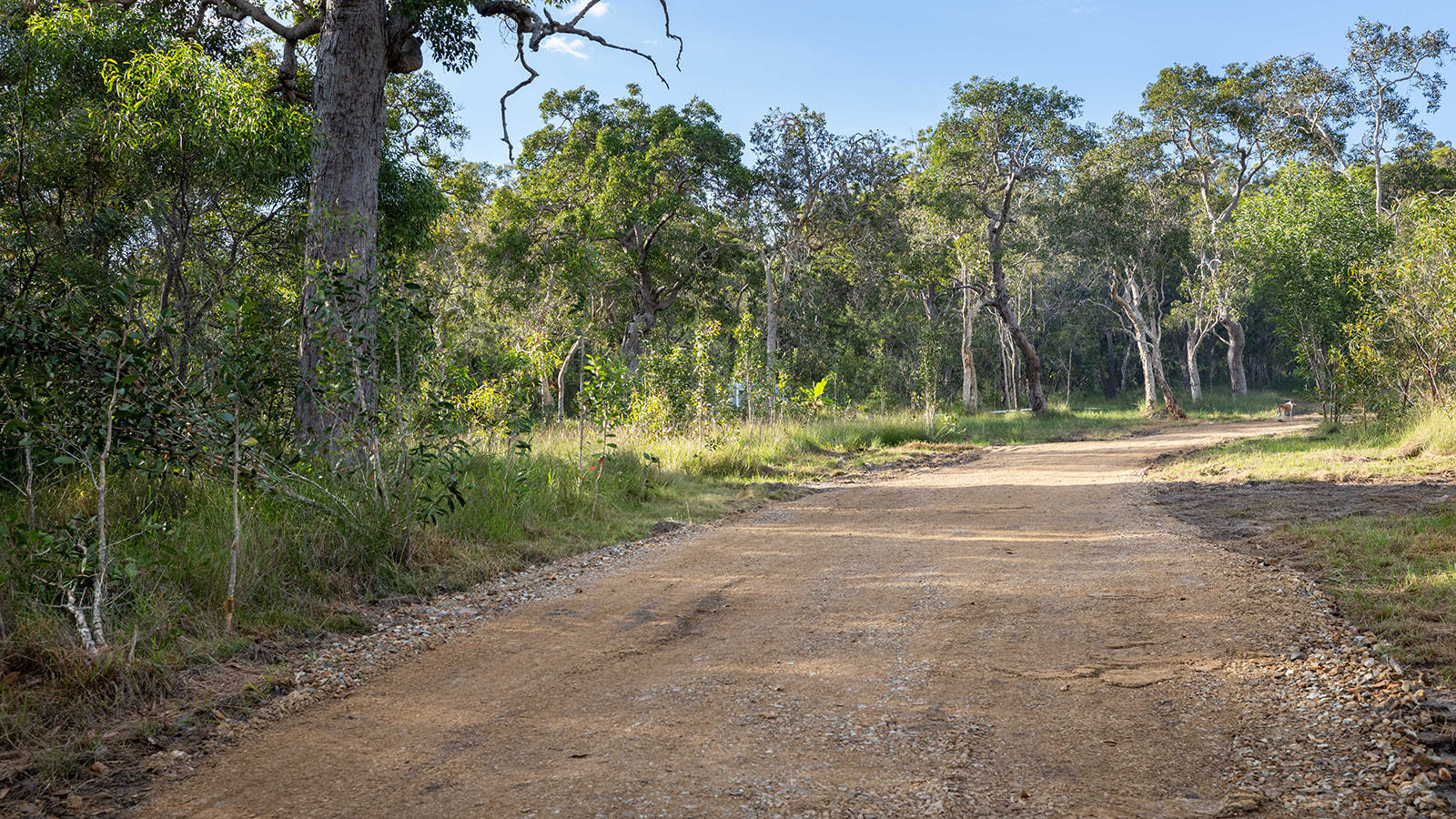 215 Masthead Drive, Agnes Water  QLD  4677