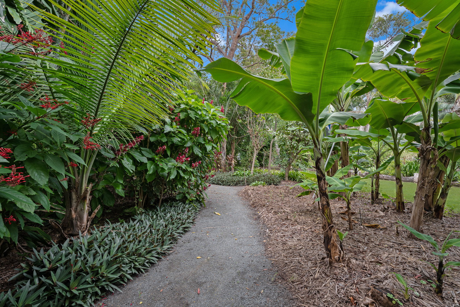 19 Brooke Court, Oakhurst  QLD  4650