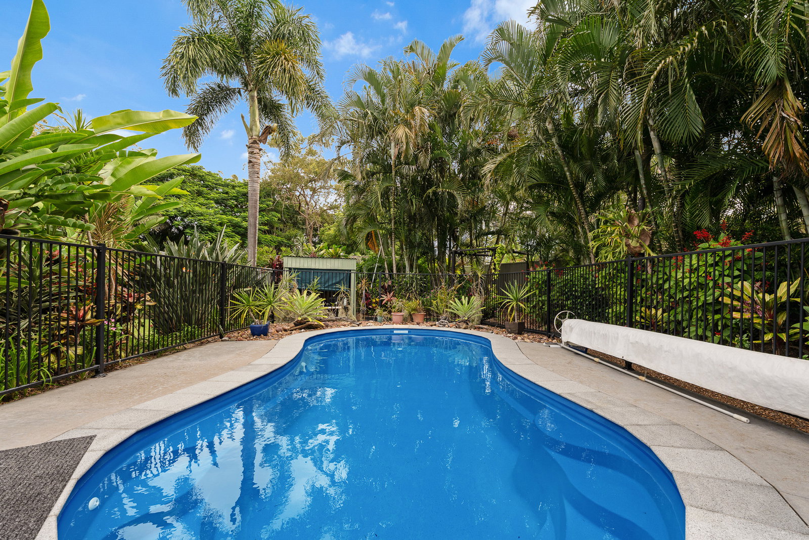 19 Brooke Court, Oakhurst  QLD  4650