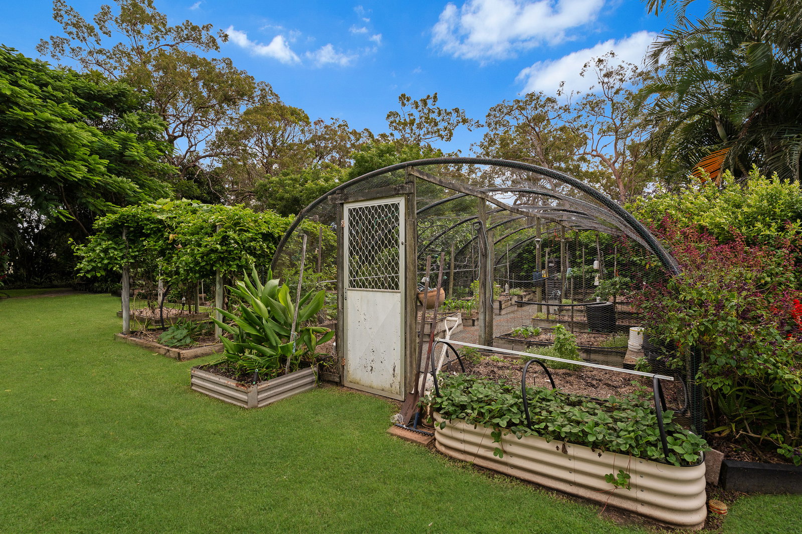 19 Brooke Court, Oakhurst  QLD  4650