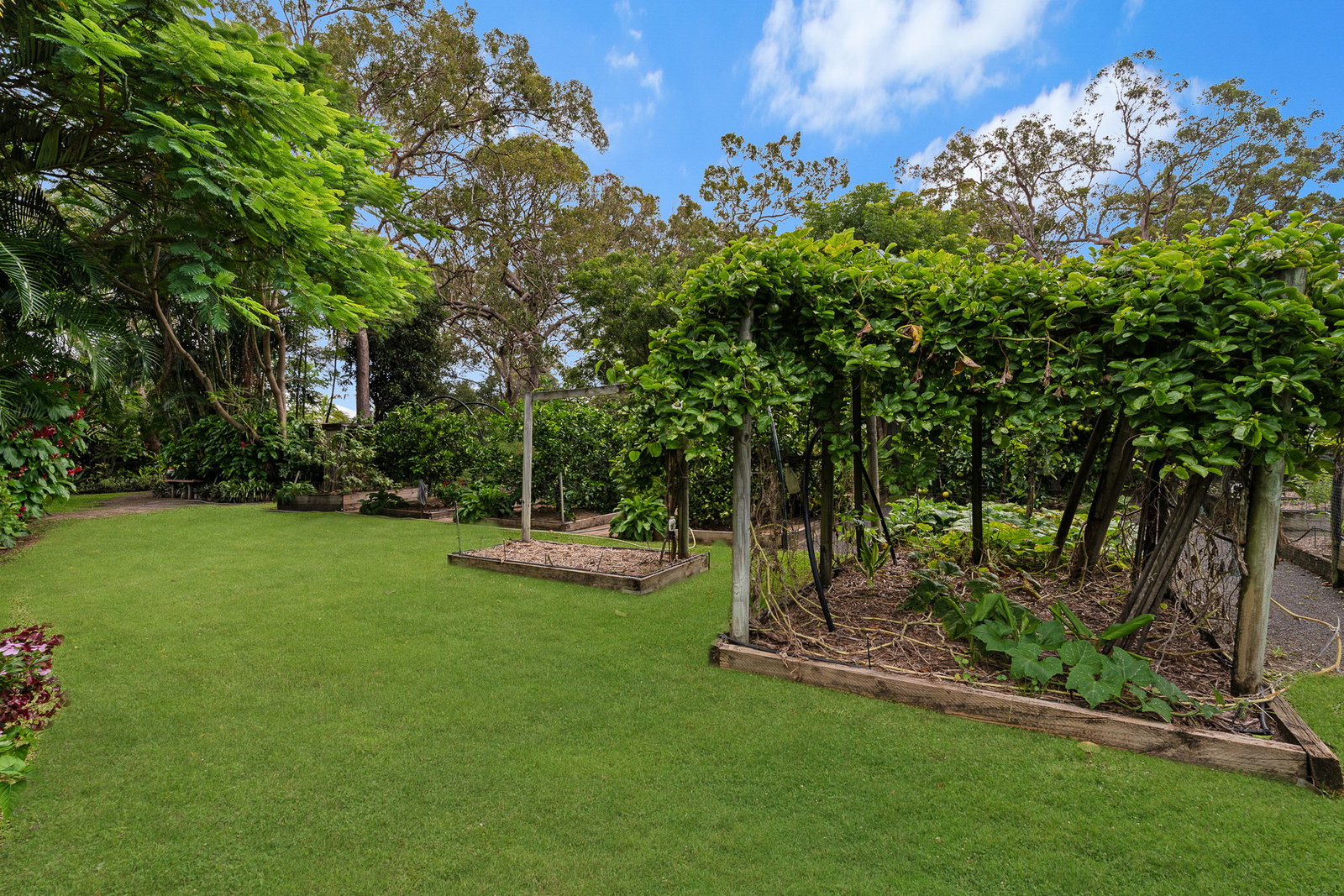 19 Brooke Court, Oakhurst  QLD  4650