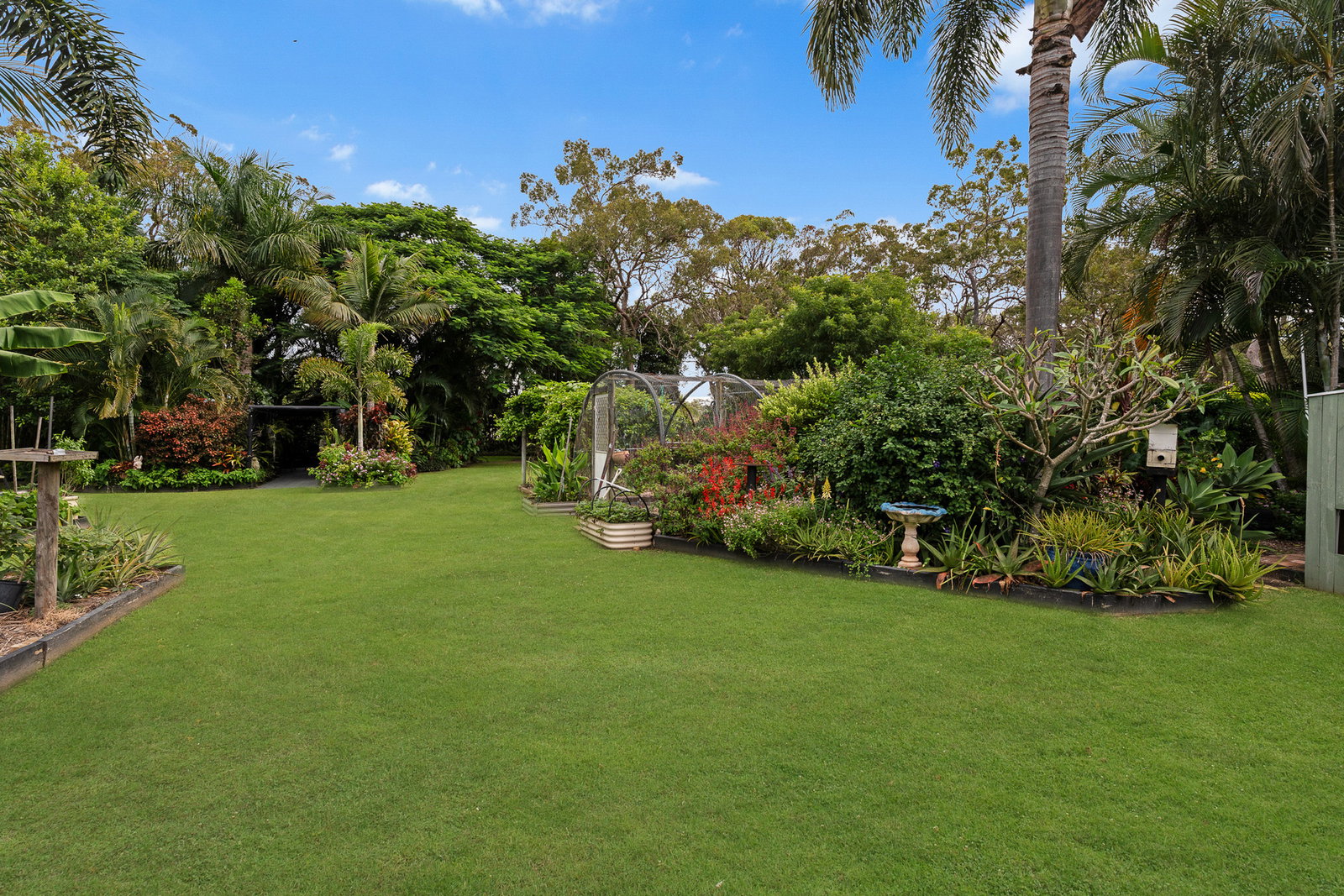 19 Brooke Court, Oakhurst  QLD  4650