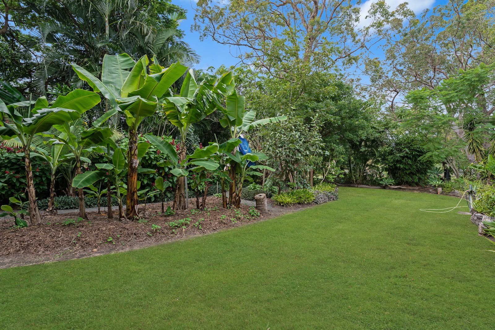 19 Brooke Court, Oakhurst  QLD  4650
