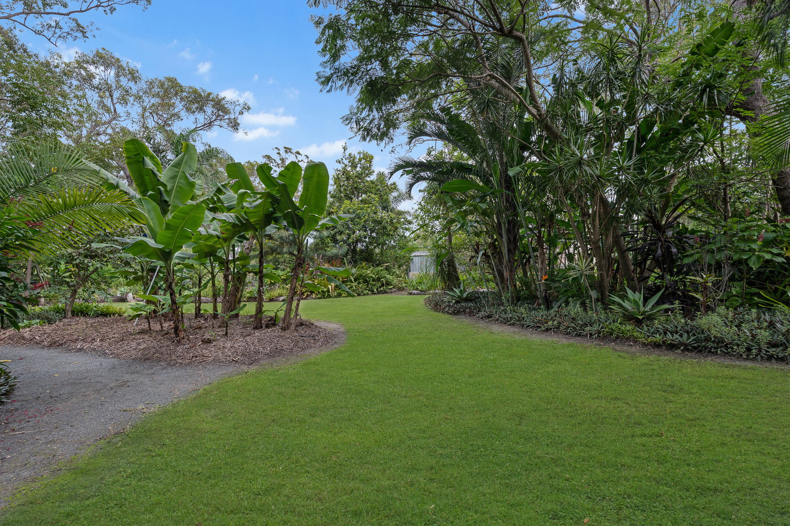 19 Brooke Court, Oakhurst  QLD  4650