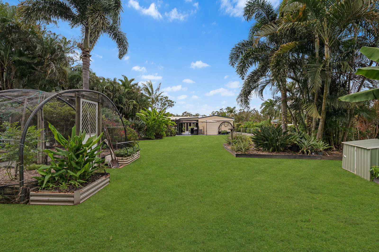19 Brooke Court, Oakhurst  QLD  4650