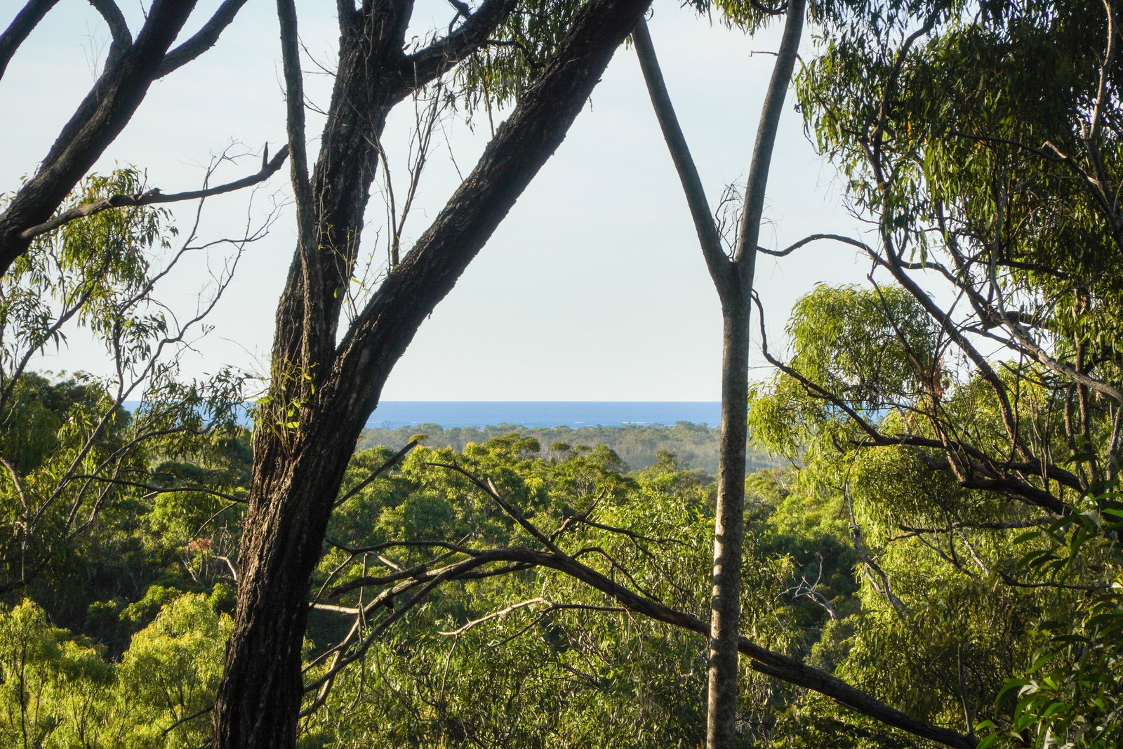 106 Fitzroy Crescent, Agnes Water  QLD  4677