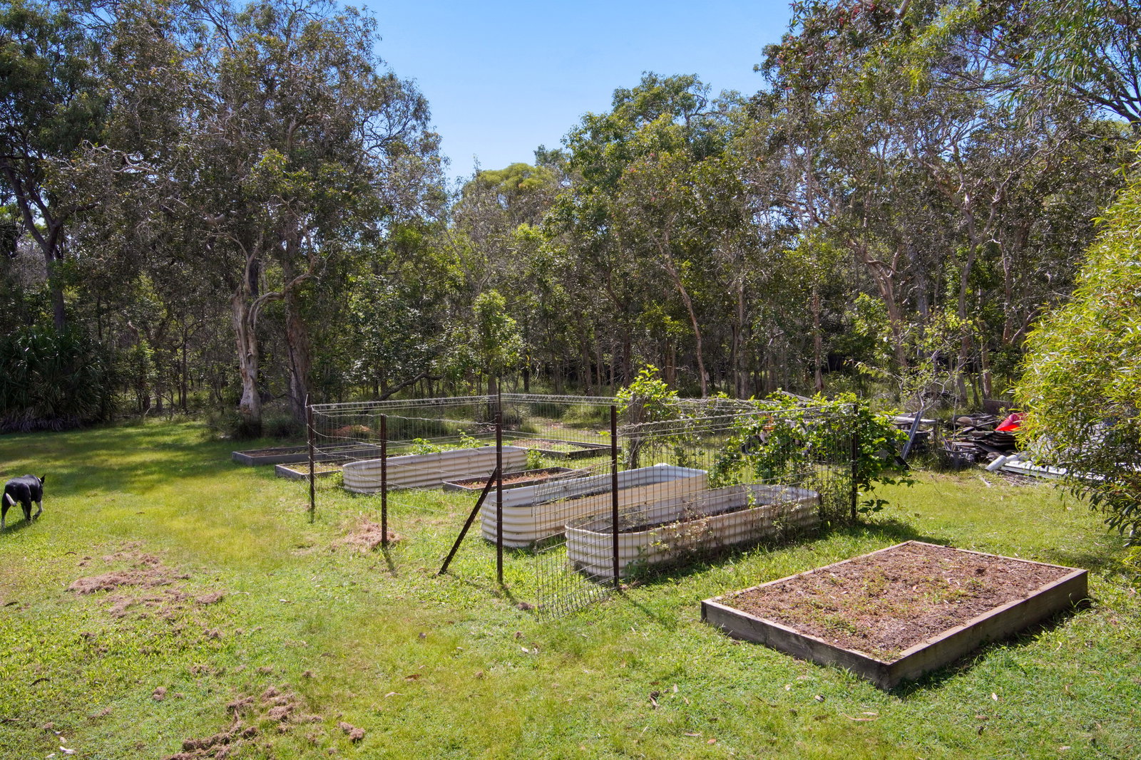373 Lady Elliot Drive, Agnes Water  QLD  4677