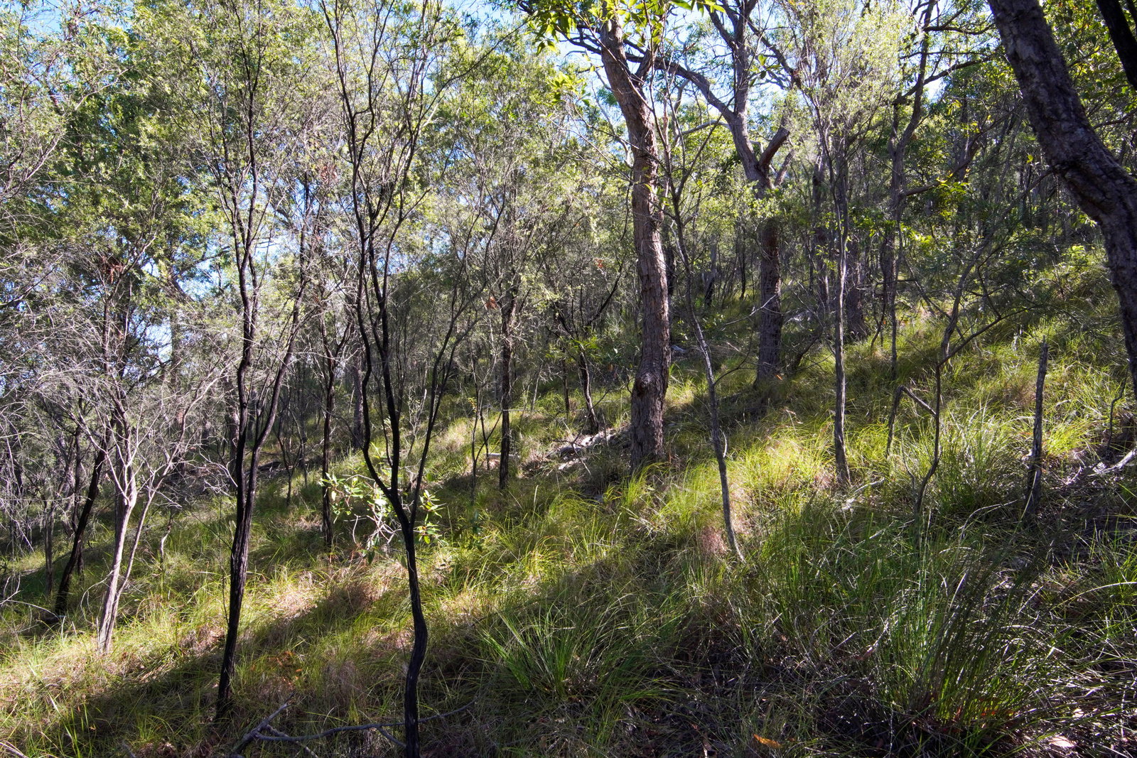 398 Anderson Way, Agnes Water  QLD  4677