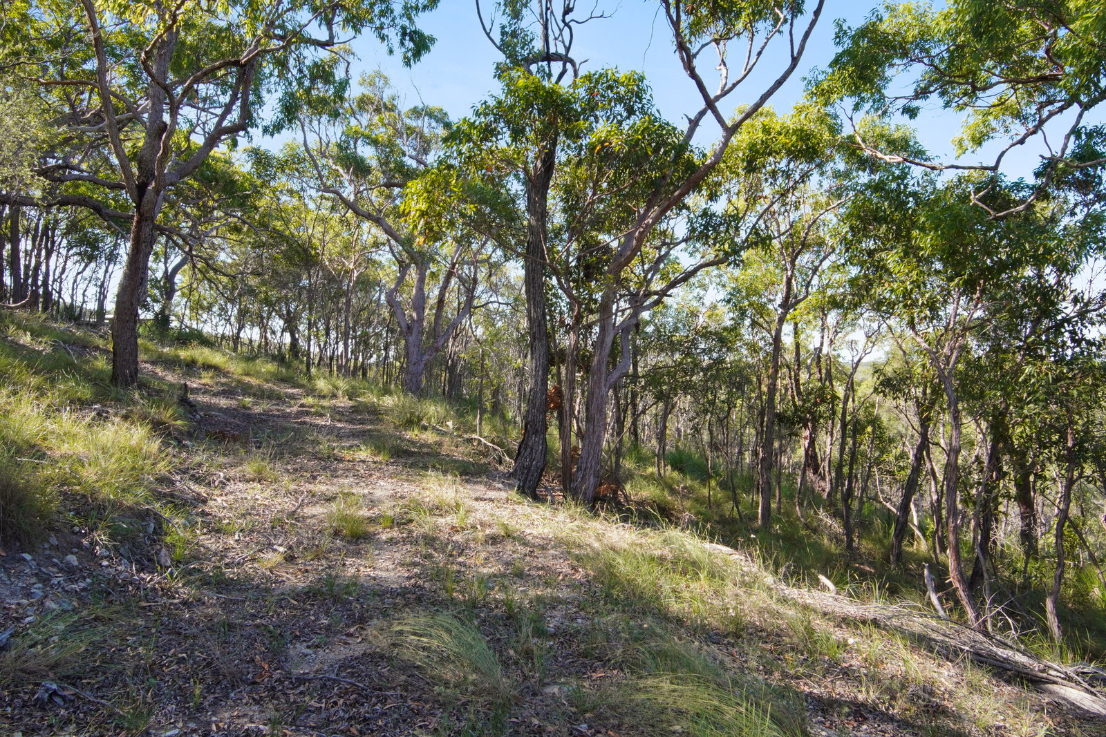 398 Anderson Way, Agnes Water  QLD  4677