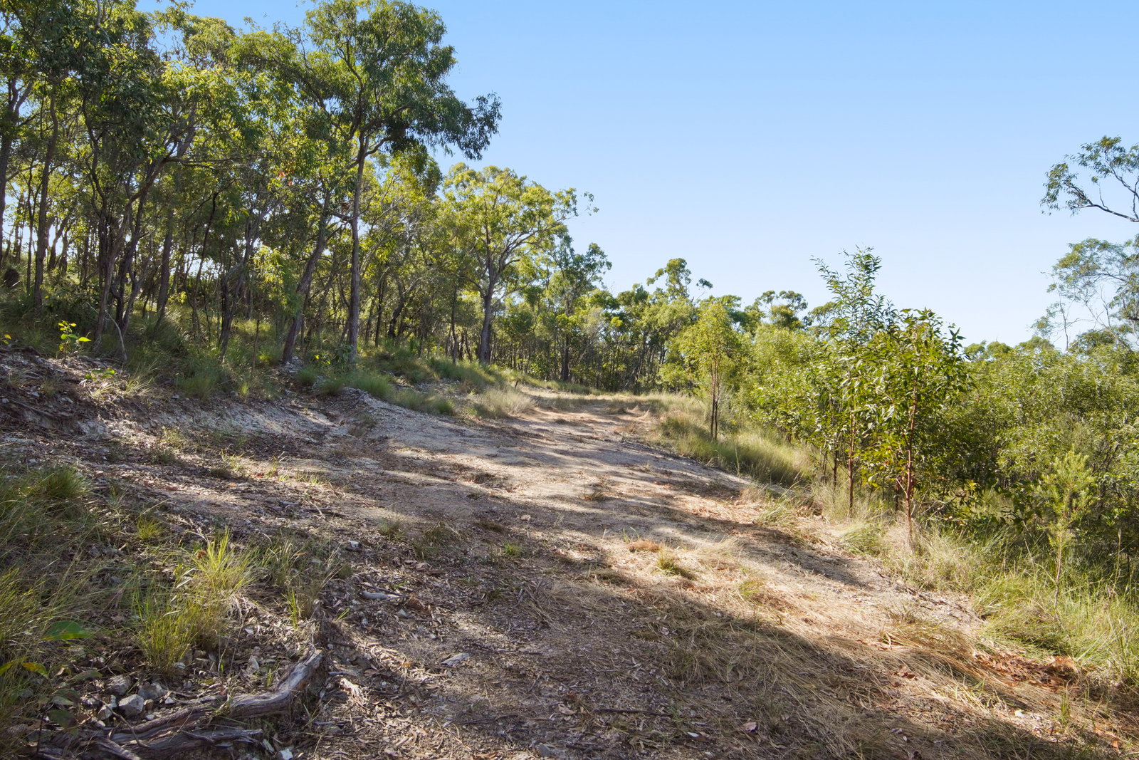398 Anderson Way, Agnes Water  QLD  4677