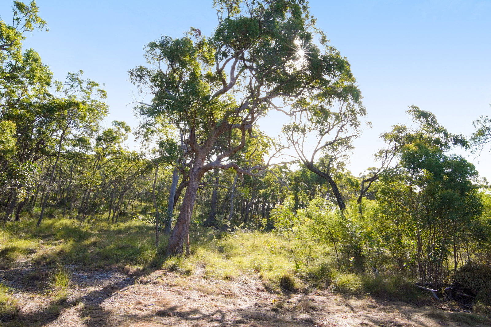 398 Anderson Way, Agnes Water  QLD  4677