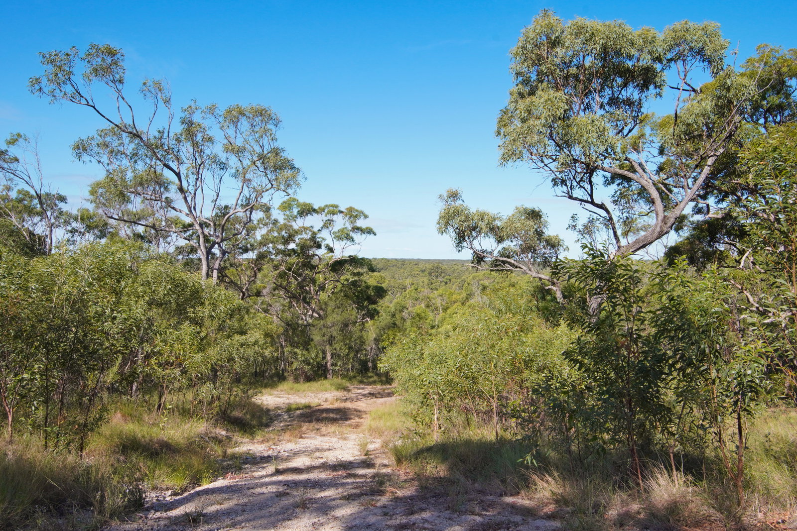 398 Anderson Way, Agnes Water  QLD  4677