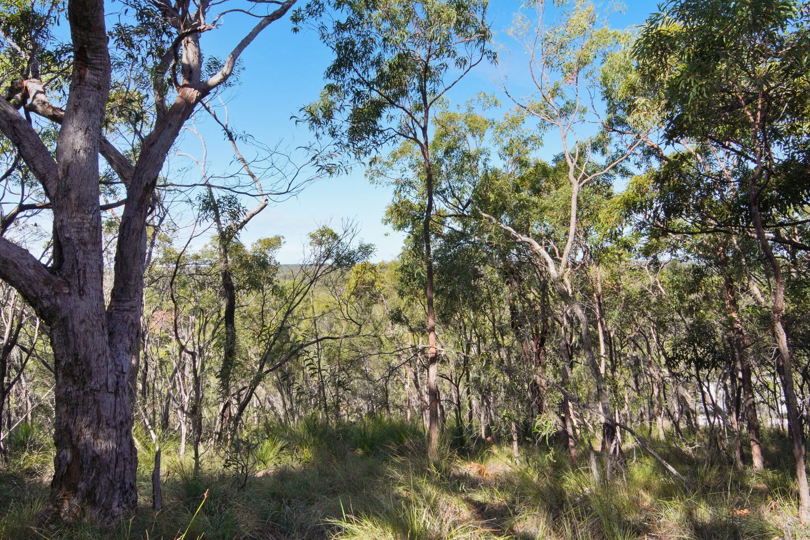 398 Anderson Way, Agnes Water  QLD  4677