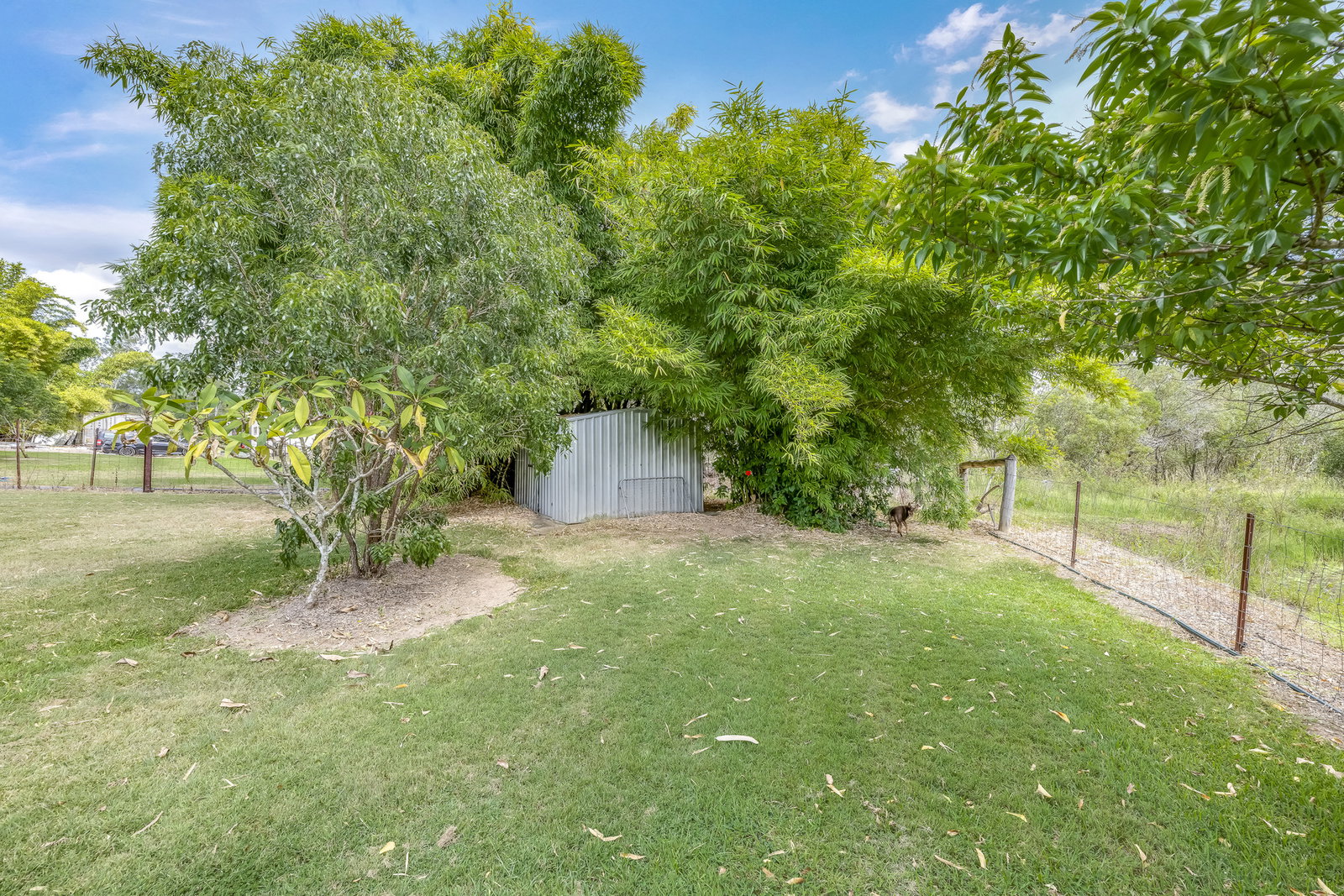 4 Camira Court, South Bingera  QLD  4670