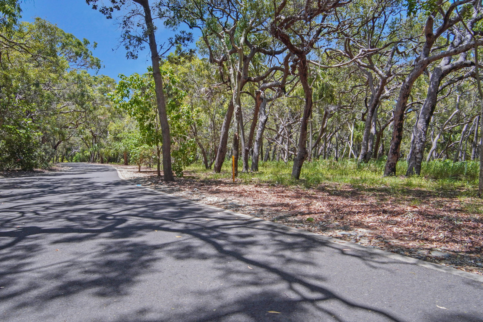 75 Bloodwood Avenue, Agnes Water  QLD  4677
