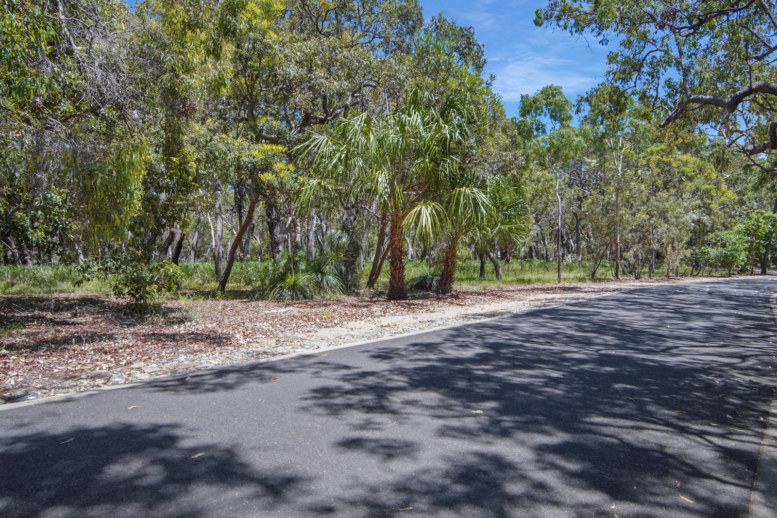 75 Bloodwood Avenue, Agnes Water  QLD  4677