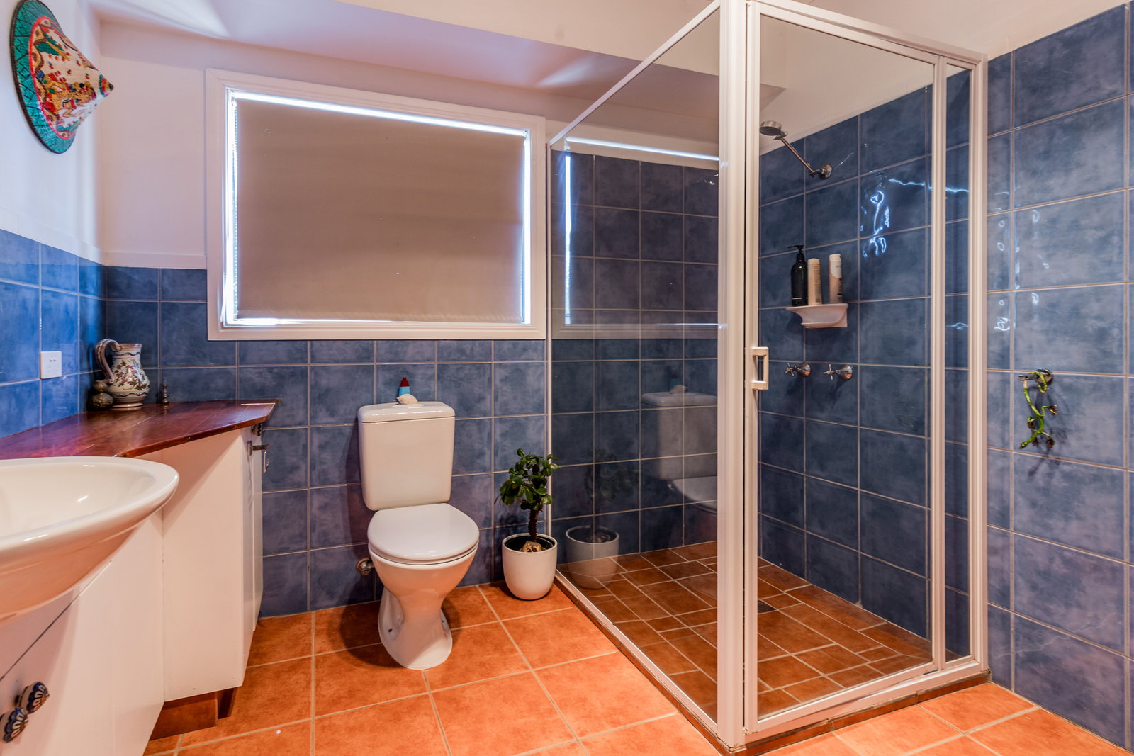 4 Webster Court, Agnes Water  QLD  4677