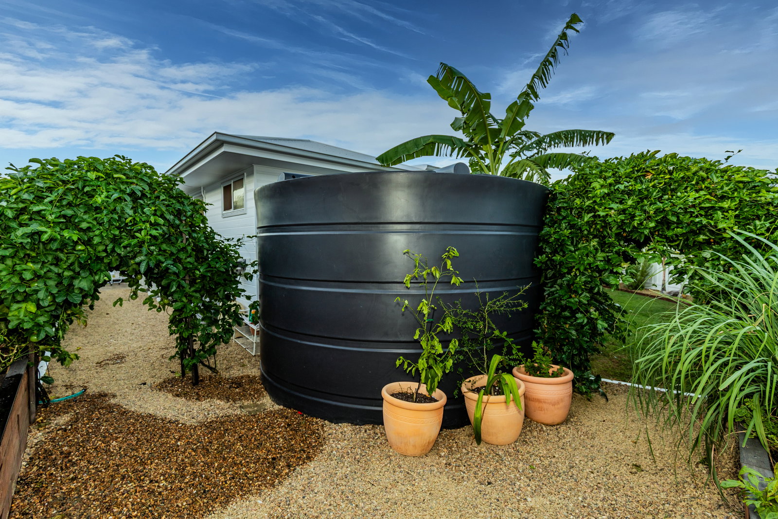 3 Dolphin Court, Agnes Water  QLD  4677