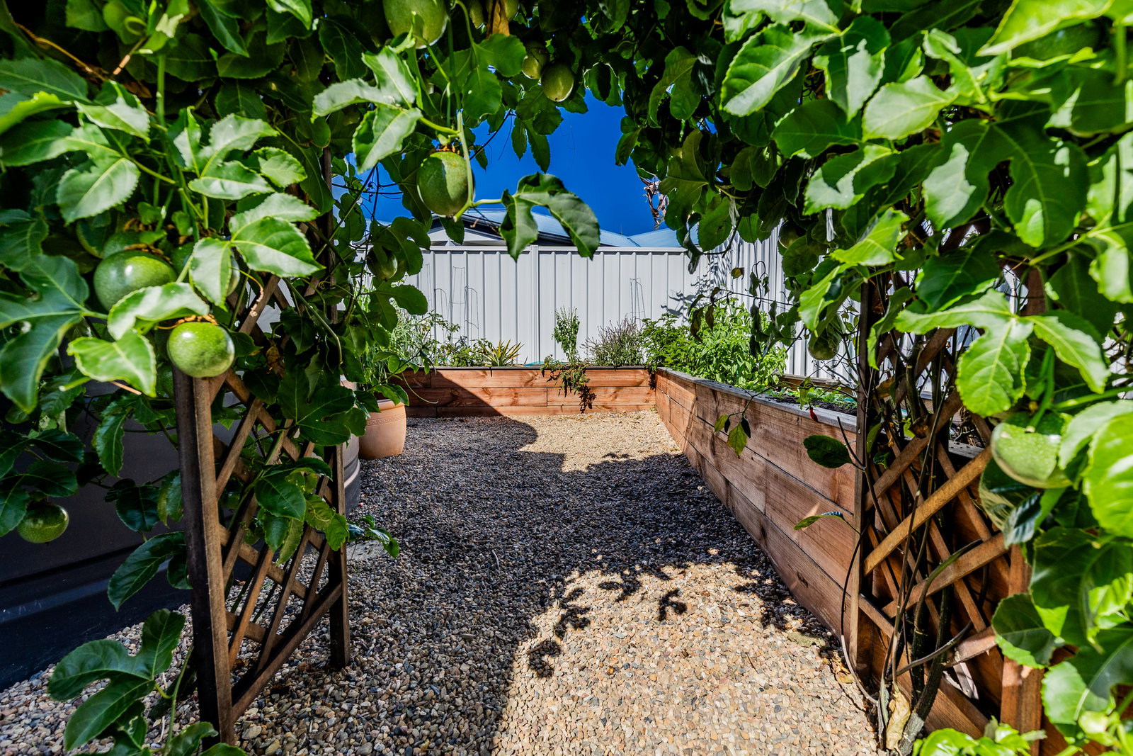 3 Dolphin Court, Agnes Water  QLD  4677