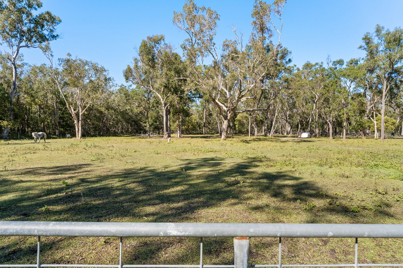 61 Oxford Street, Bidwill  QLD  4650