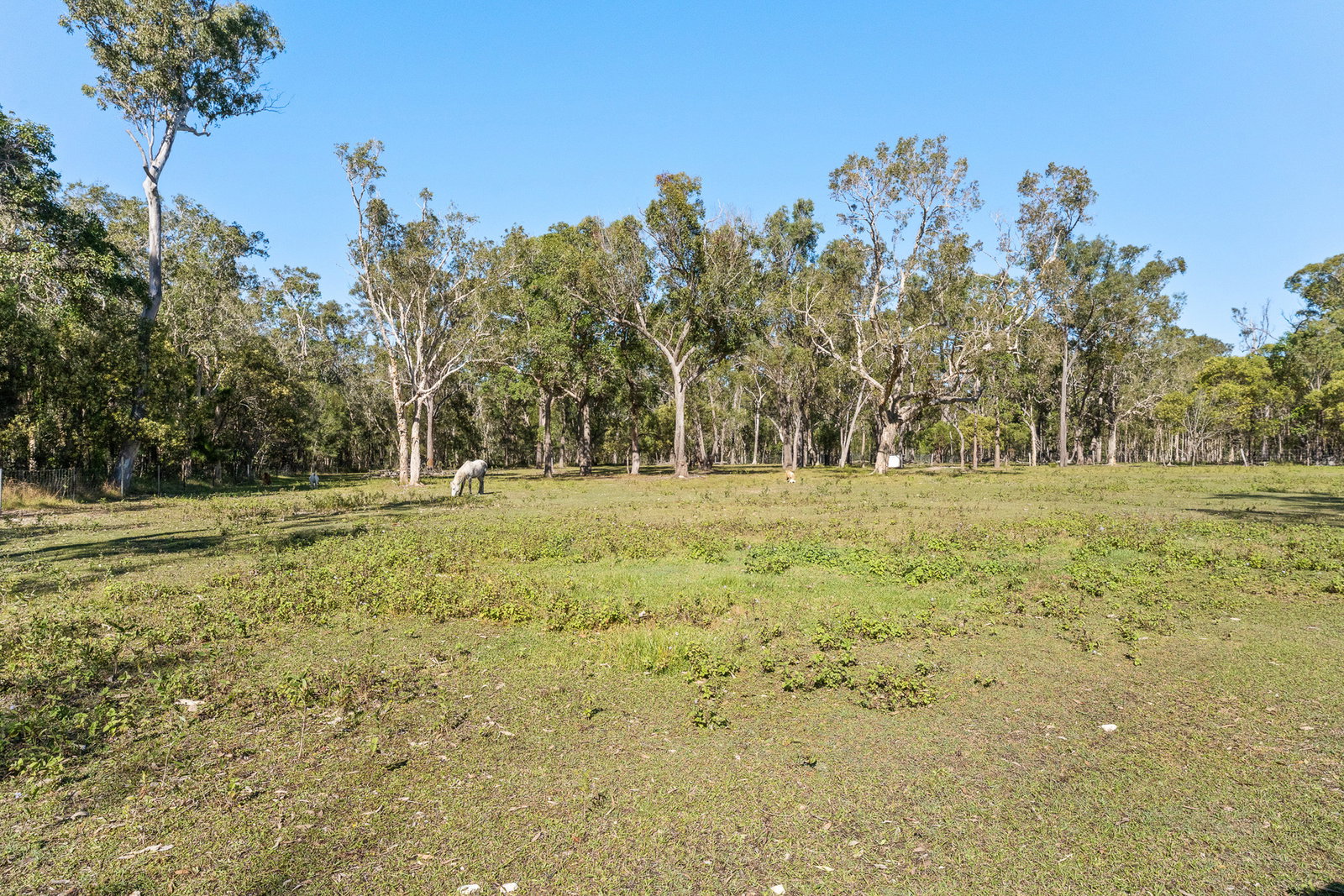 61 Oxford Street, Bidwill  QLD  4650