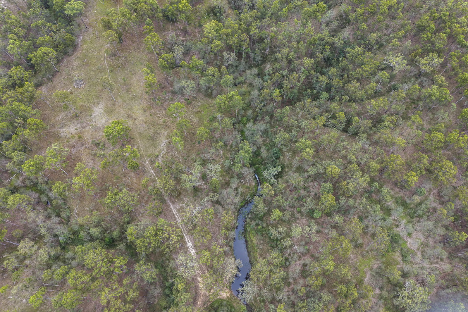 48 Morris Road, Wonbah  QLD  4671