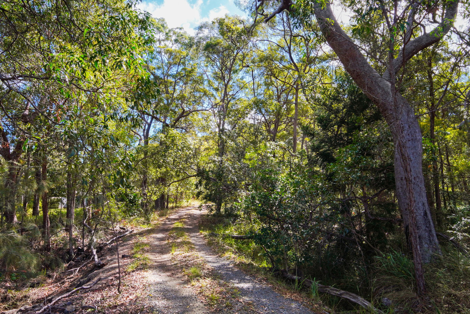 58 McGhee Crescent, Agnes Water  QLD  4677