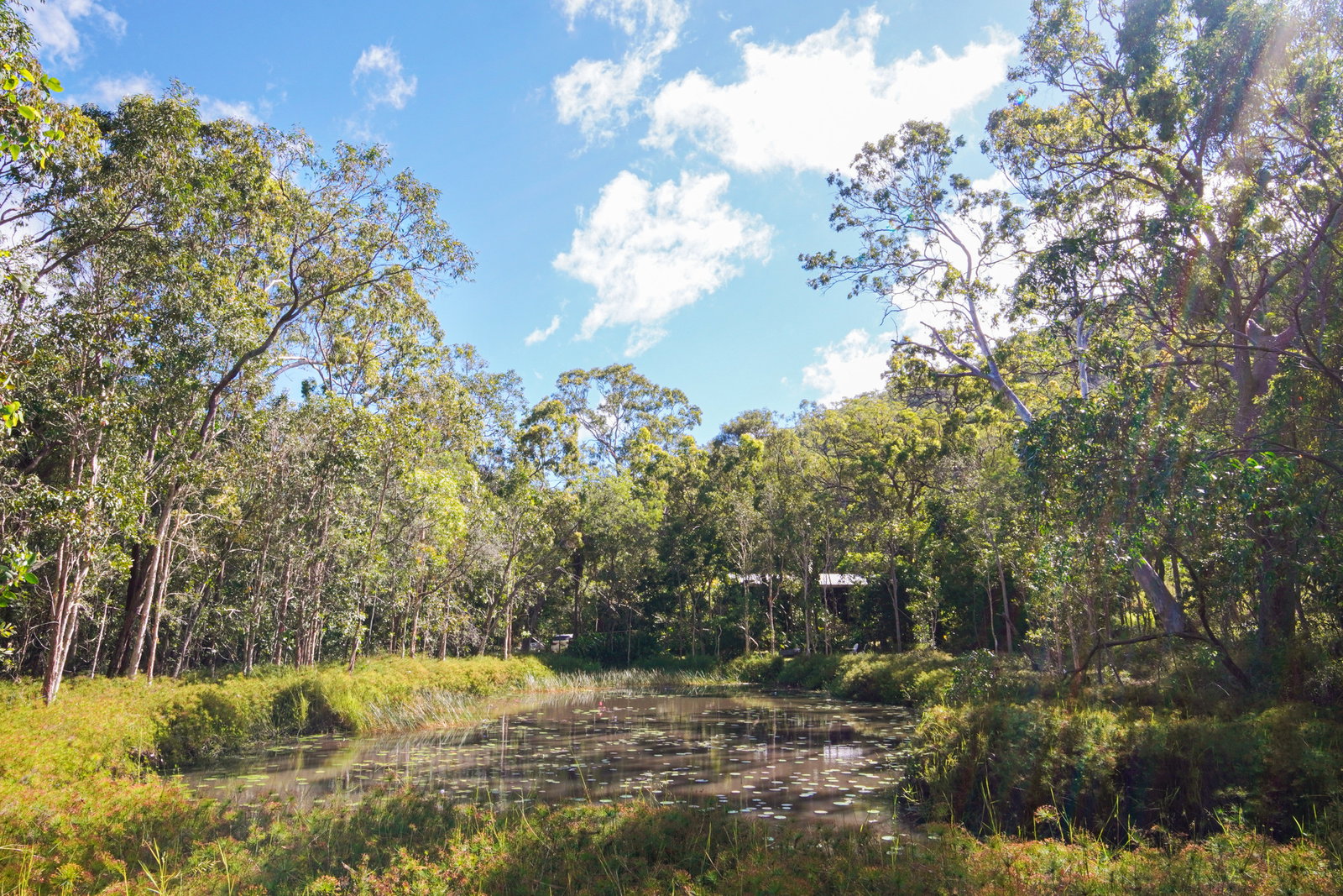 58 McGhee Crescent, Agnes Water  QLD  4677