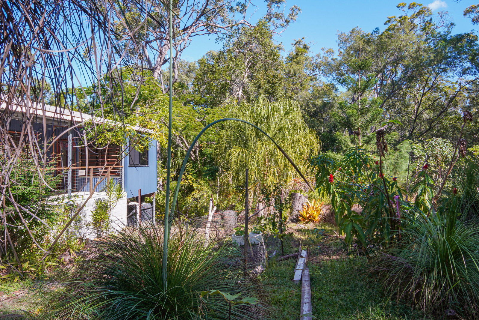 58 McGhee Crescent, Agnes Water  QLD  4677