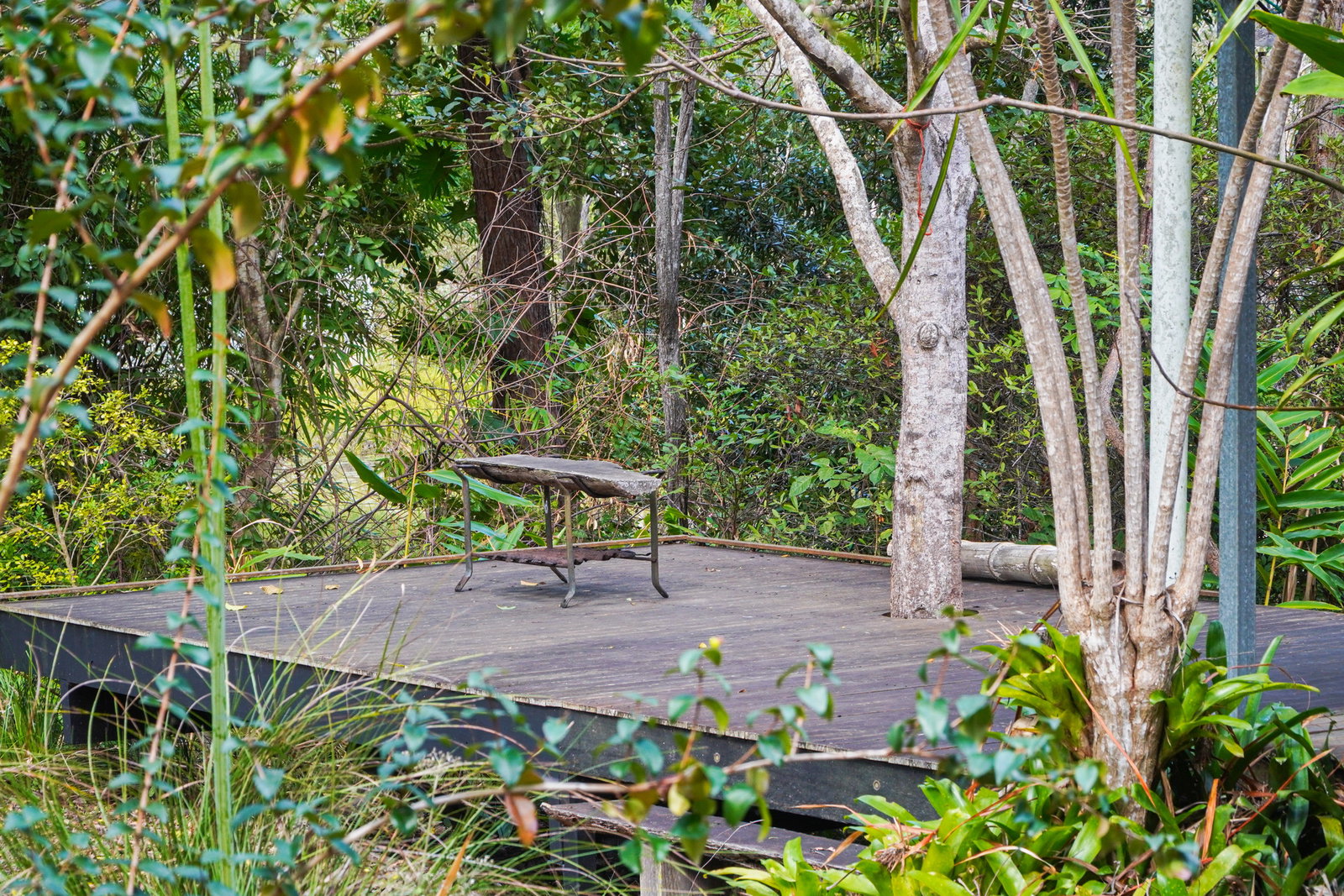 58 McGhee Crescent, Agnes Water  QLD  4677