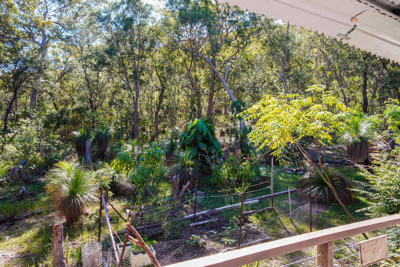 58 McGhee Crescent, Agnes Water  QLD  4677