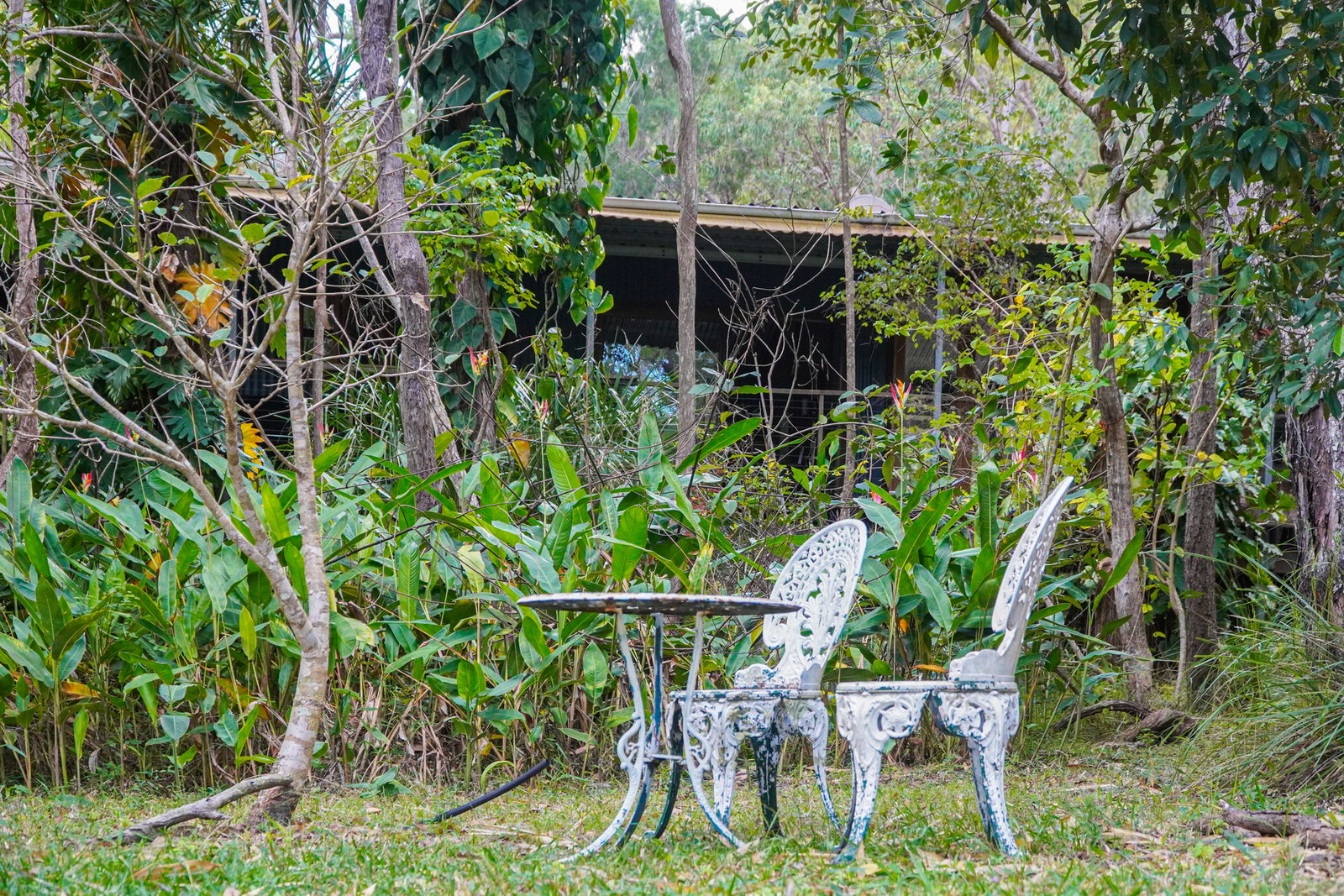 58 McGhee Crescent, Agnes Water  QLD  4677