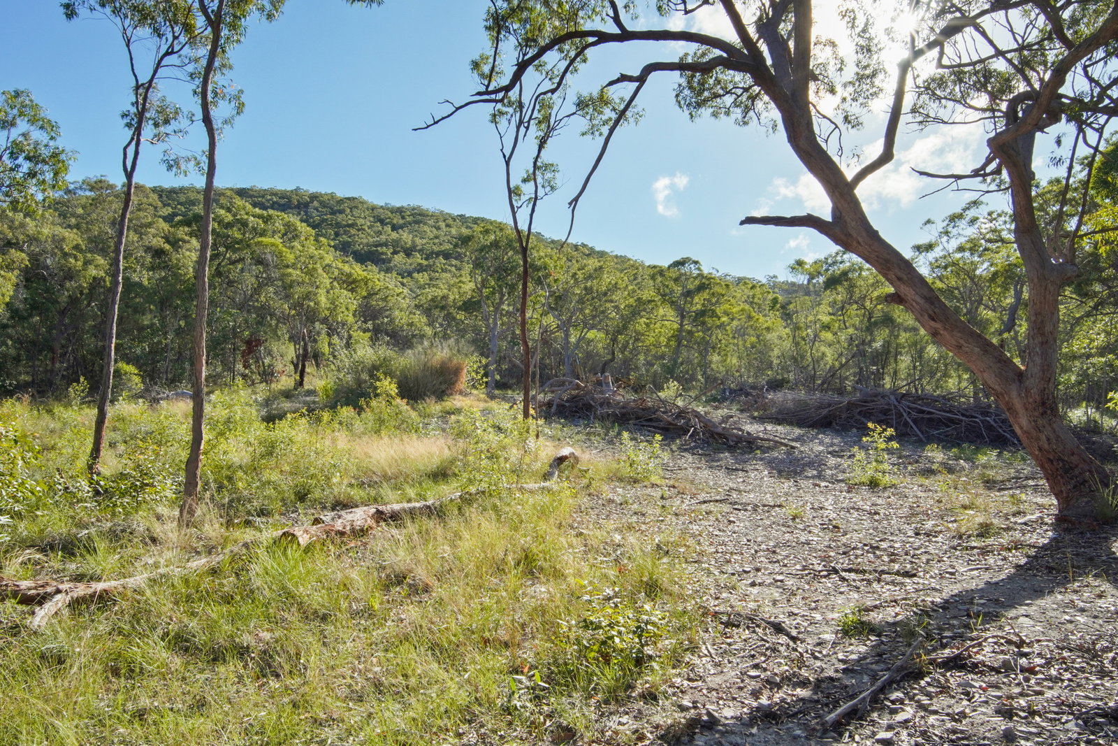 40 Jobson Road, Agnes Water  QLD  4677