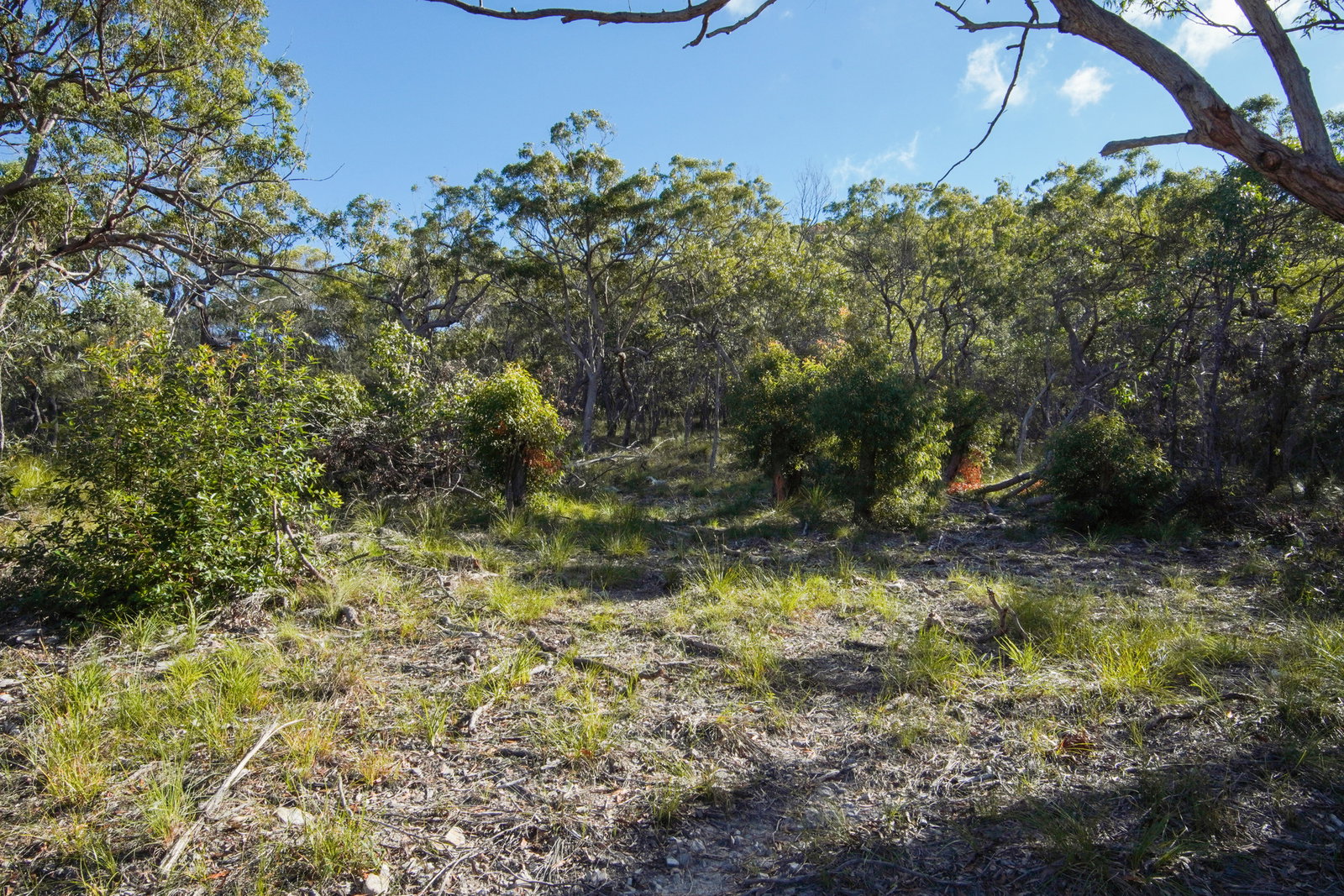 40 Jobson Road, Agnes Water  QLD  4677