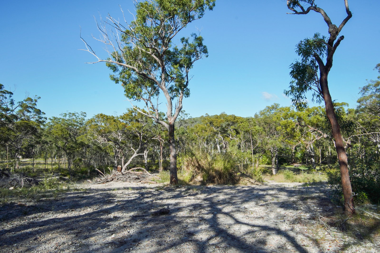 40 Jobson Road, Agnes Water  QLD  4677