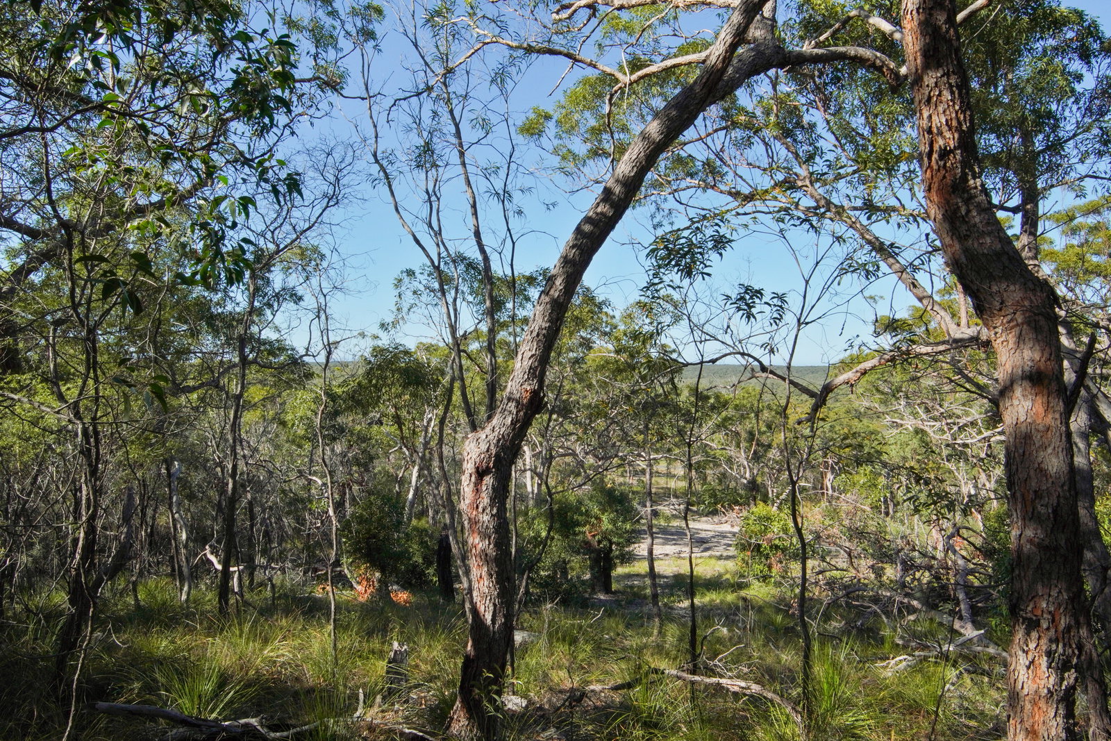 40 Jobson Road, Agnes Water  QLD  4677