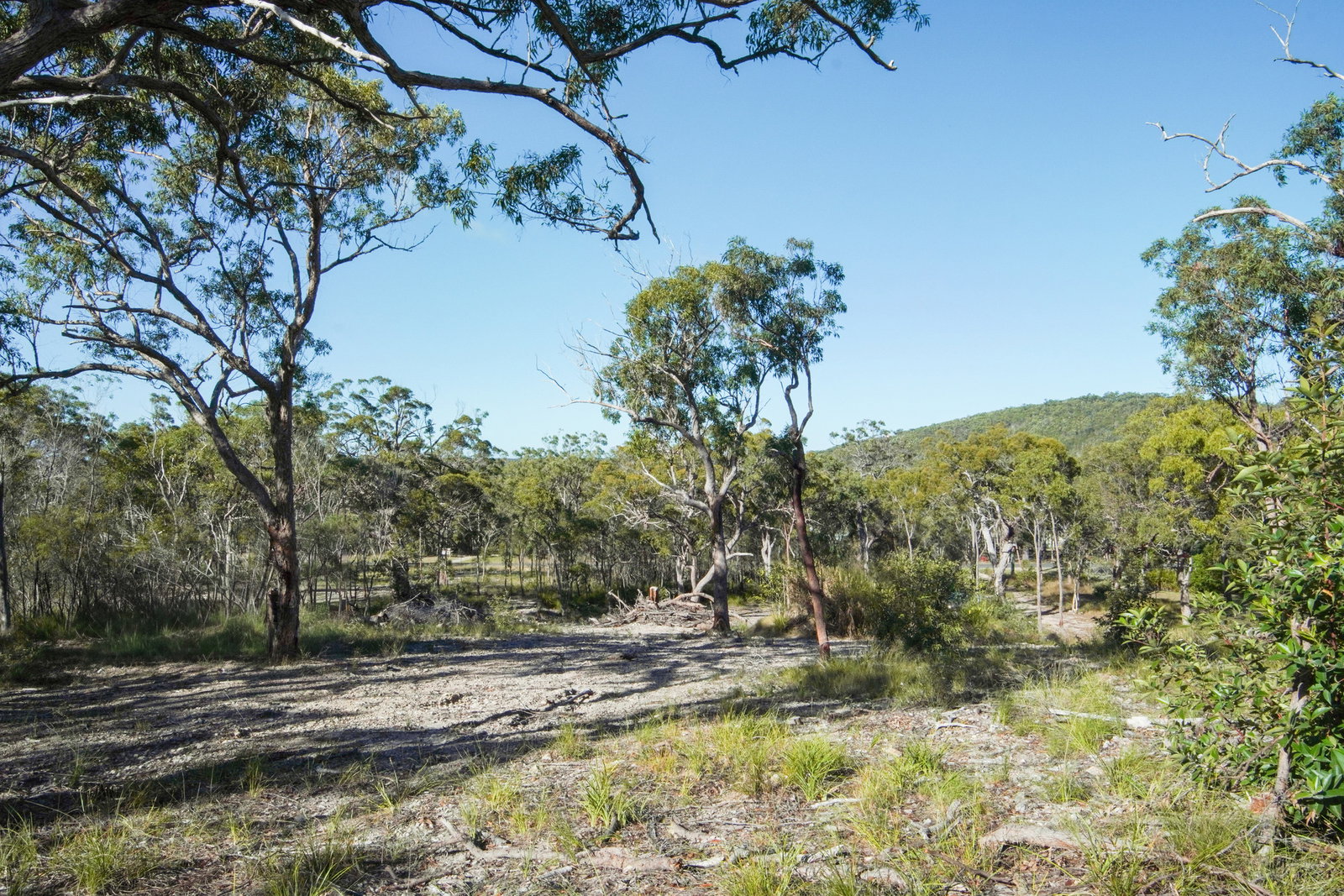 40 Jobson Road, Agnes Water  QLD  4677