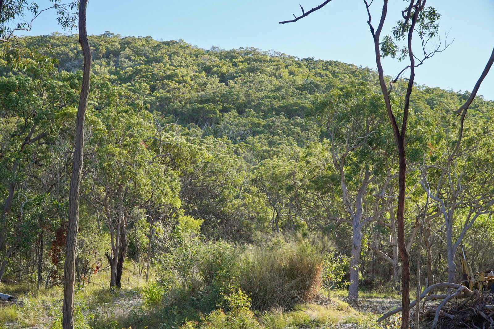 40 Jobson Road, Agnes Water  QLD  4677