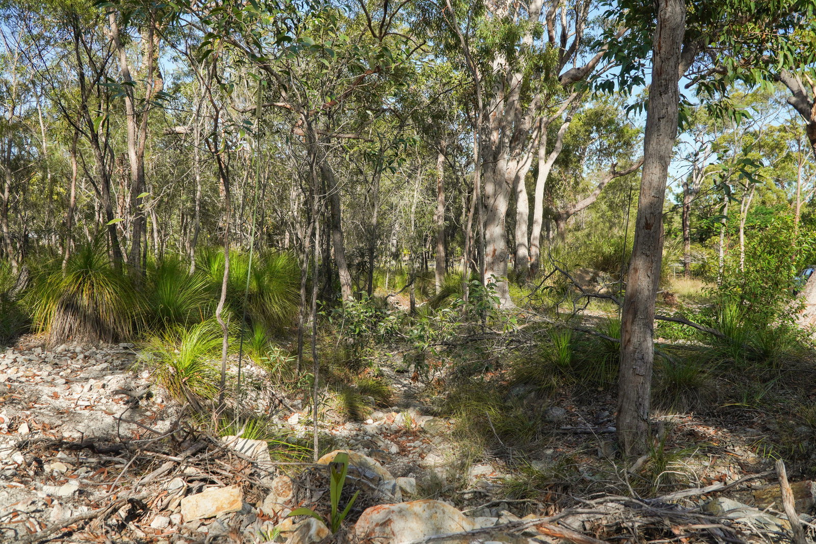 40 Jobson Road, Agnes Water  QLD  4677